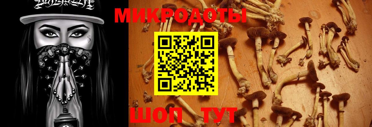 Урай  Галлюциногенные грибы Psilocybe  Вход с VPN 