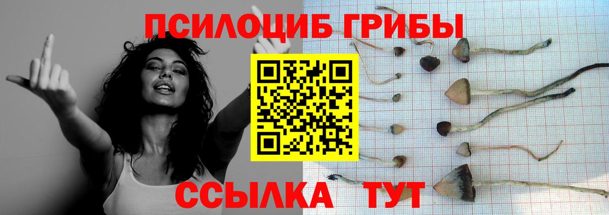 Галлюциногенные грибы Cubensis Урай